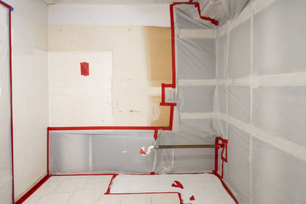 Best Dehumidification Services  in Springfield, NE
