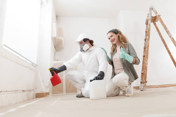 Best Real Estate Mold Inspection  in Springfield, NE